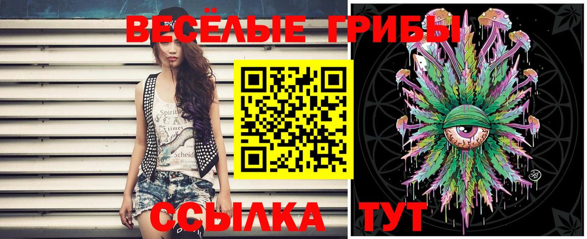 Галлюциногенные грибы мицелий Обь