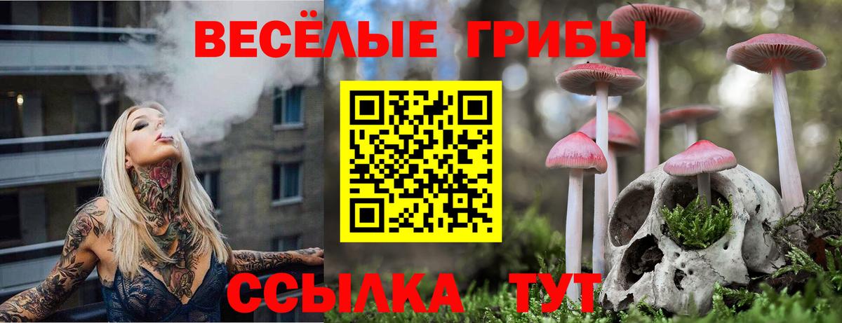 Обь  Галлюциногенные грибы прущие грибы  Вход с VPN 